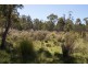 465 River Road, Reedy Marsh TAS 7304