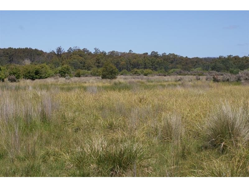 465 River Road, Reedy Marsh TAS 7304