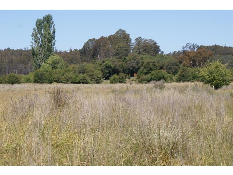 465 River Road, Reedy Marsh TAS 7304