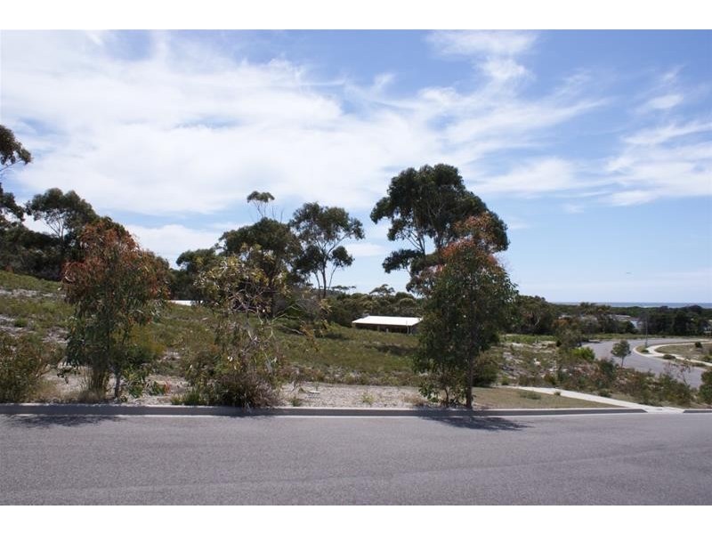 20 Wrinklers Drive, Scamander TAS 7215