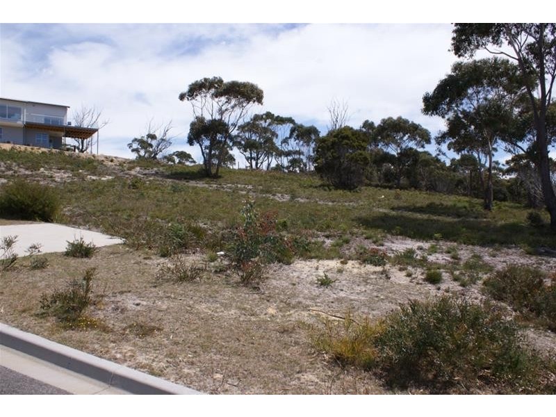 20 Wrinklers Drive, Scamander TAS 7215