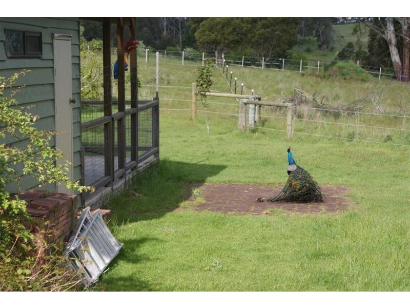 529 Mersey Hill Road, Mole Creek TAS 7304