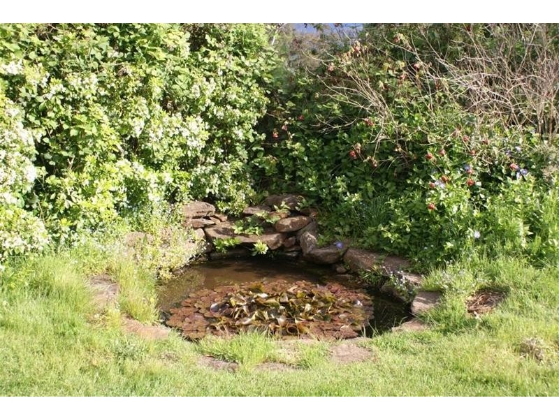 529 Mersey Hill Road, Mole Creek TAS 7304