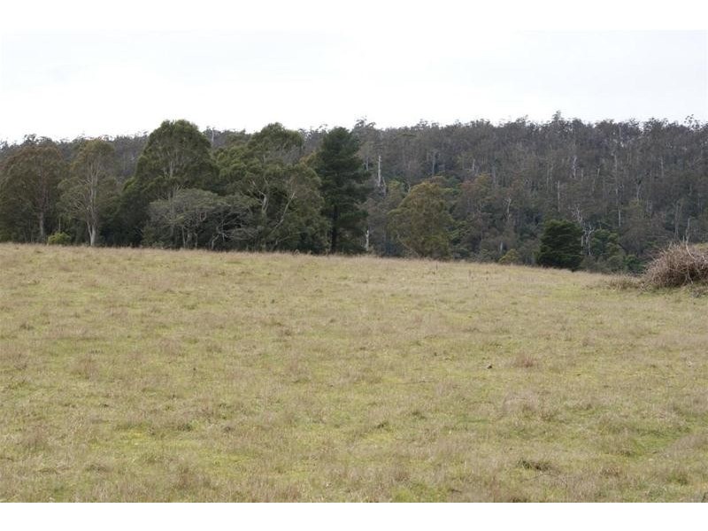 0 Bogan Road, Golden Valley TAS 7304