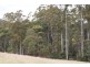 0 Bogan Road, Golden Valley TAS 7304
