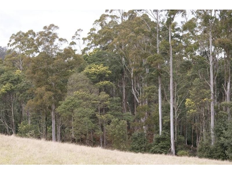 0 Bogan Road, Golden Valley TAS 7304