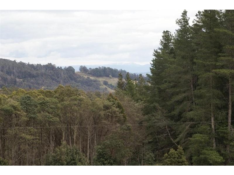 0 Bogan Road, Golden Valley TAS 7304