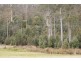 0 Bogan Road, Golden Valley TAS 7304