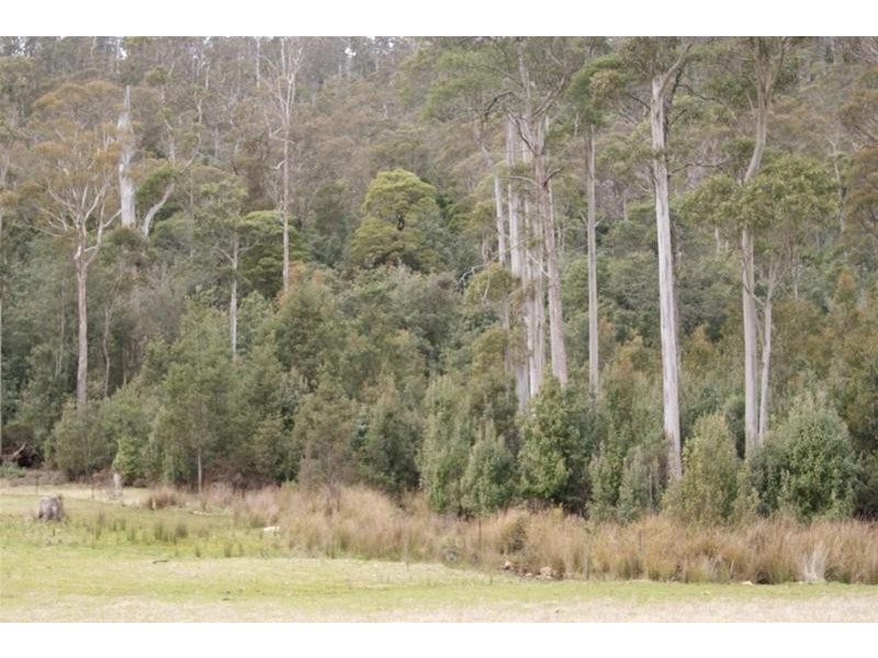 0 Bogan Road, Golden Valley TAS 7304