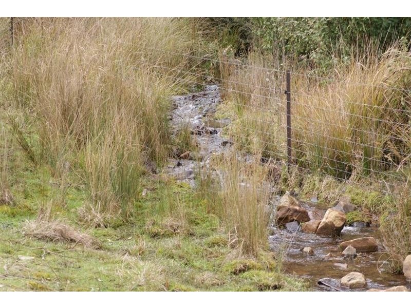 0 Bogan Road, Golden Valley TAS 7304