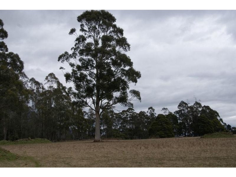 0 Bogan Road, Golden Valley TAS 7304