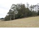 0 Bogan Road, Golden Valley TAS 7304