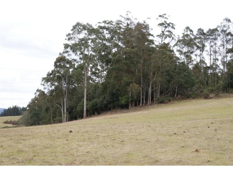 0 Bogan Road, Golden Valley TAS 7304