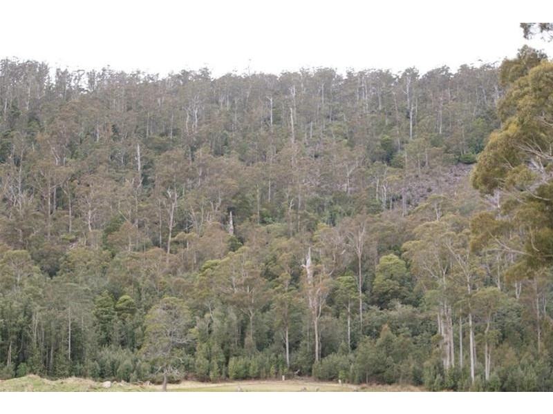 0 Bogan Road, Golden Valley TAS 7304