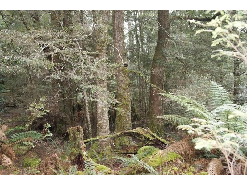 0 Bogan Road, Golden Valley TAS 7304