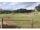 529 Mersey Hill Road, Mole Creek TAS 7304