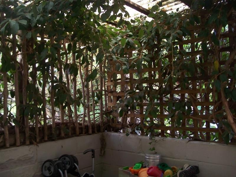 24 Groom Street, St Marys TAS 7215