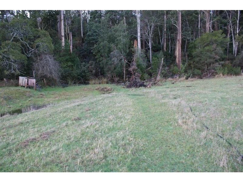 385 Liena Road, Mole Creek TAS 7304