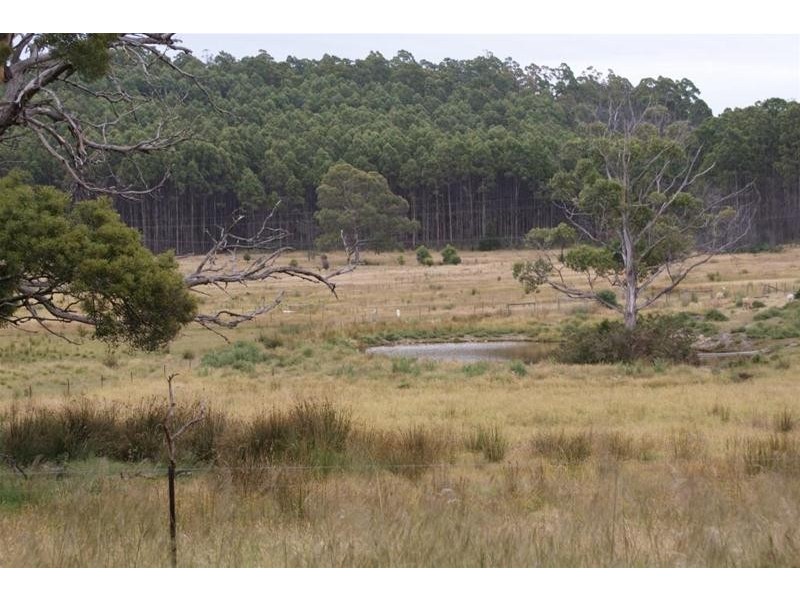 Lot 2/374 Quamby Brook Road, Quamby Brook TAS 7304