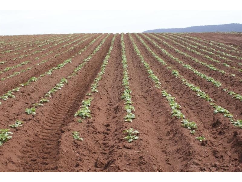 - “Keanefield”, Deloraine TAS 7304