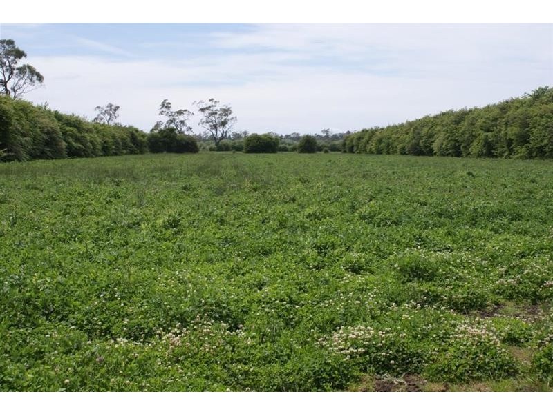 - “Keanefield”, Deloraine TAS 7304