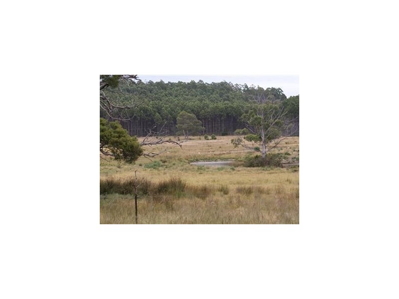 388 Quamby Brook Road, Quamby Brook TAS 7304