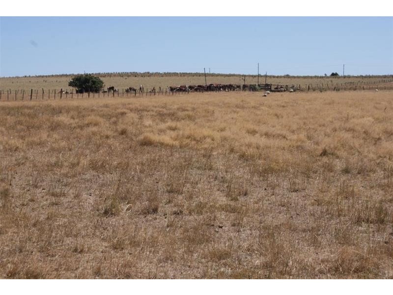 699 Westwood Road, Hagley TAS 7292