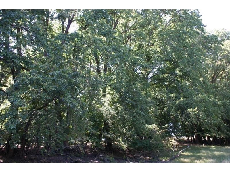 699 Westwood Road, Hagley TAS 7292