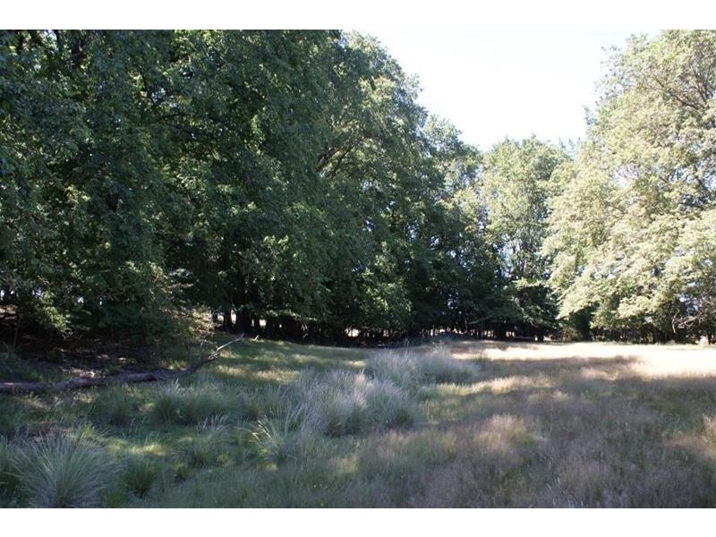 699 Westwood Road, Hagley TAS 7292