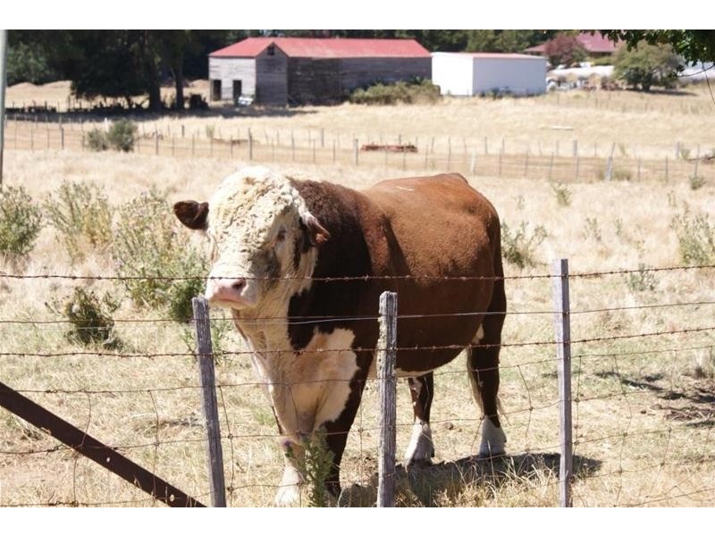 699 Westwood Road, Hagley TAS 7292