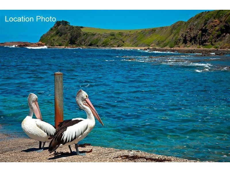 17 Noble Street, Gerringong NSW 2534