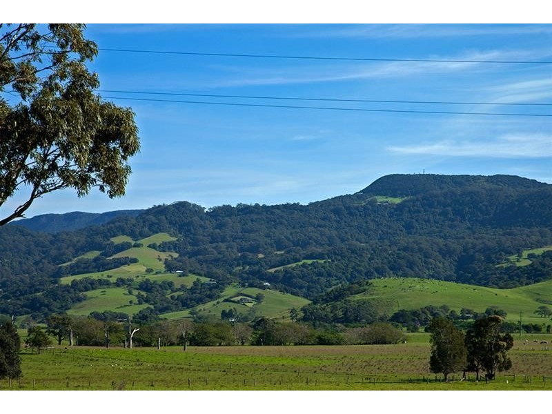 59 Burnett Avenue, Gerringong NSW 2534