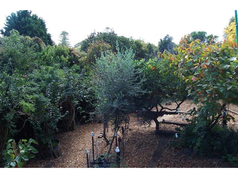 65 Jupiter Street, Gerringong NSW 2534