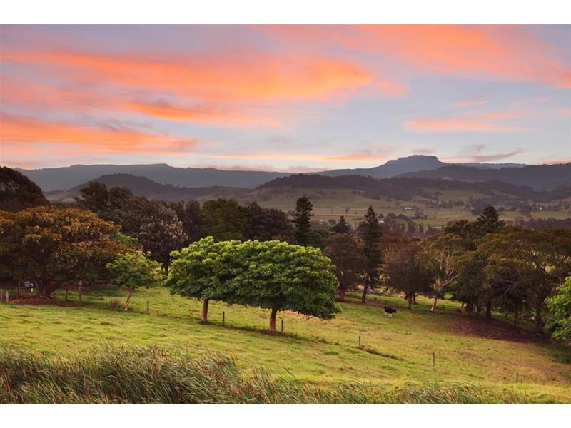 61 Crooked River Road, Gerroa NSW 2534