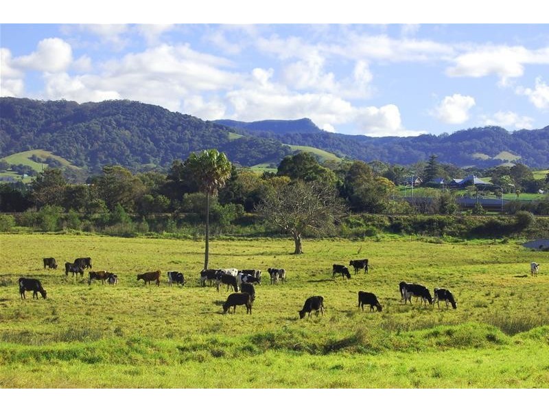 16 Wells Street, Gerringong NSW 2534