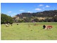 44 Old Princes Highway, Gerringong NSW 2534