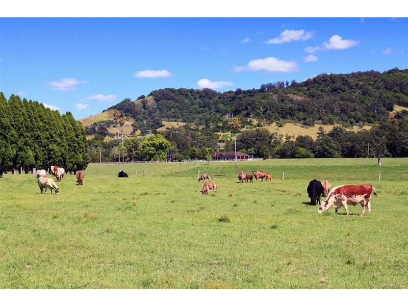 44 Old Princes Highway, Gerringong NSW 2534