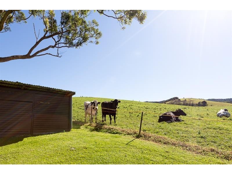 150 Rose Valley Road, Gerringong NSW 2534