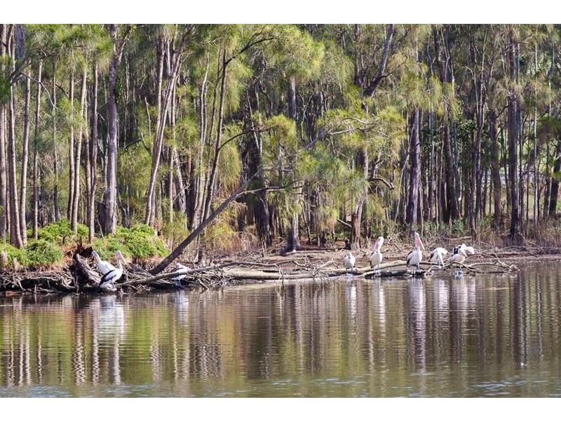 21 Werri Street, Gerringong NSW 2534