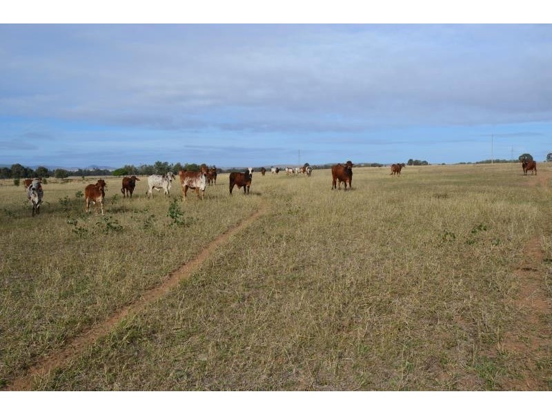 85 Reimers Road, Greycliffe QLD 4715