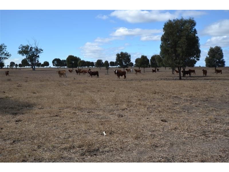 110 Prospect Creek – Goovigen Road, Prospect QLD 4715