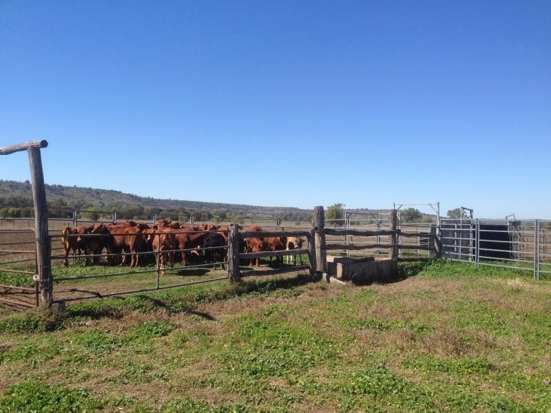 120 Morris Lane, Thangool QLD 4716