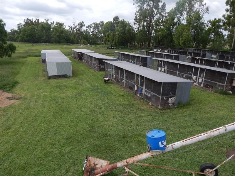 49 McLaughlins Road, Thangool QLD 4716