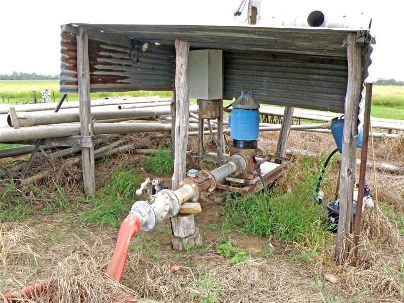 720 Goovigen-Rannes Road, Goovigen QLD 4702