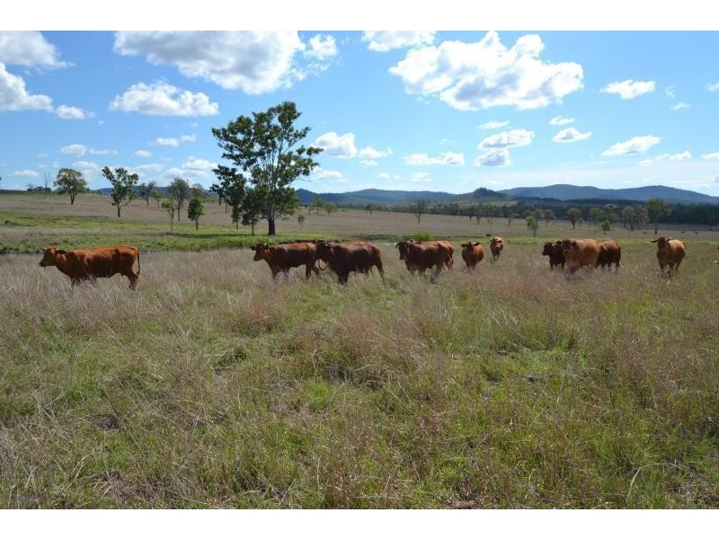 1555 Camboon Crows Dale, Biloela QLD 4715