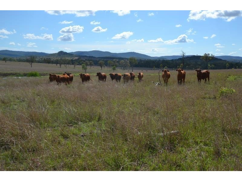 1555 Camboon Crows Dale, Biloela QLD 4715