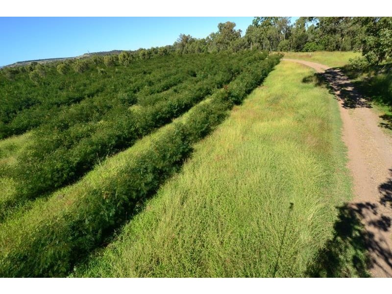 39161 Burnett Highway, Thangool QLD 4716