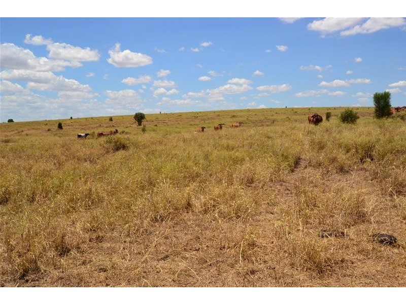 134 Semples Road, Biloela QLD 4715