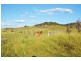 CNR Dmitrieffs/Tollemaches Road, Thangool QLD 4716