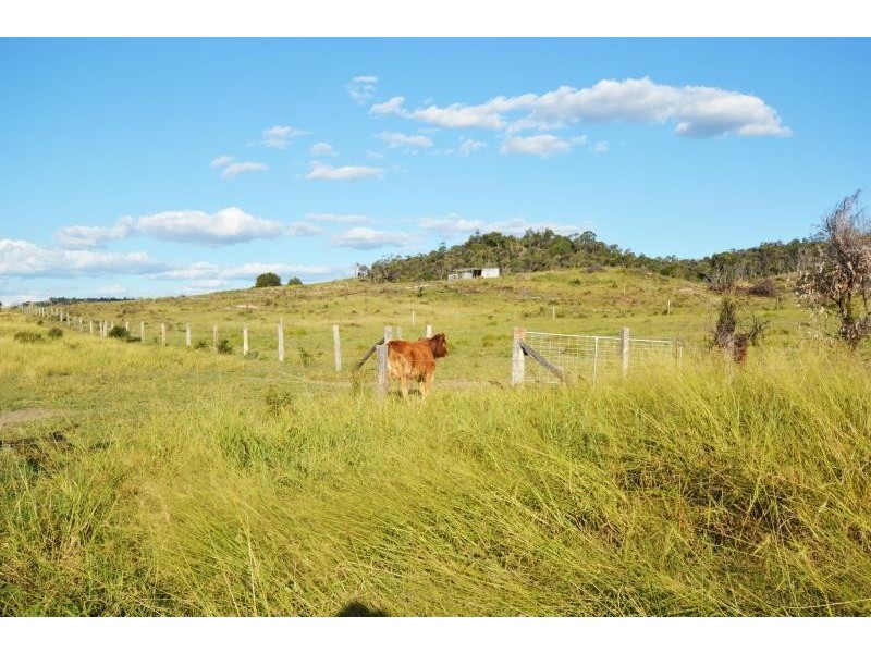 CNR Dmitrieffs/Tollemaches Road, Thangool QLD 4716
